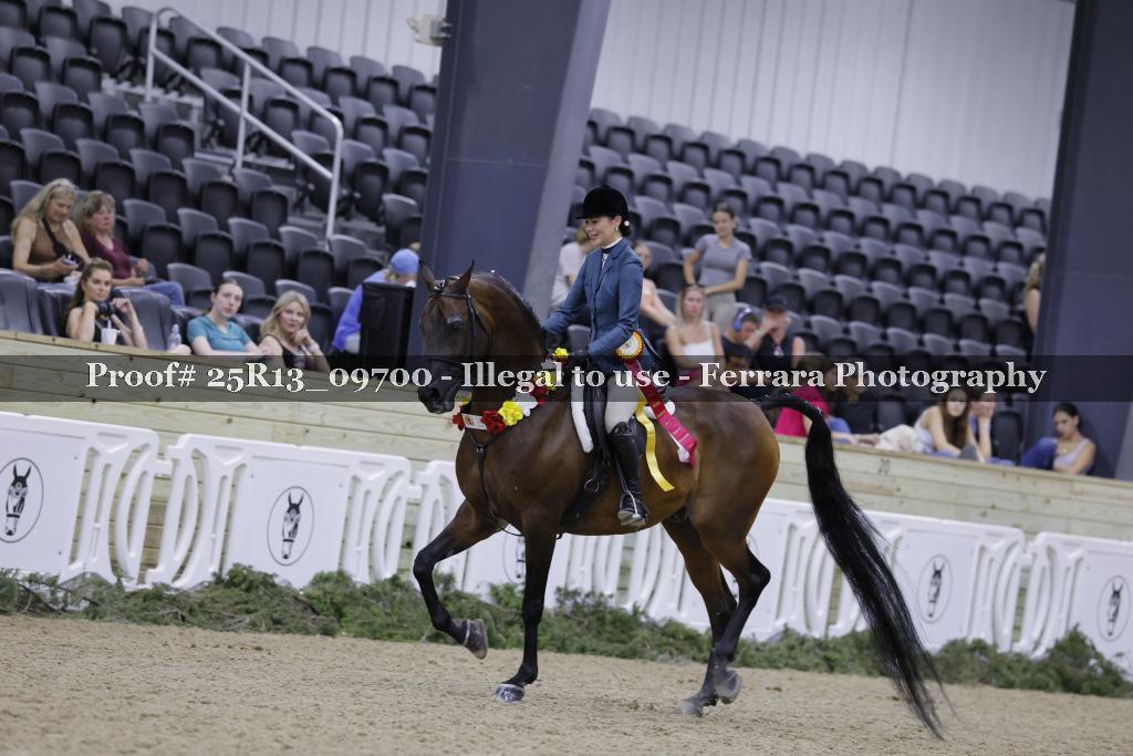 Proof Number 25R13_09700