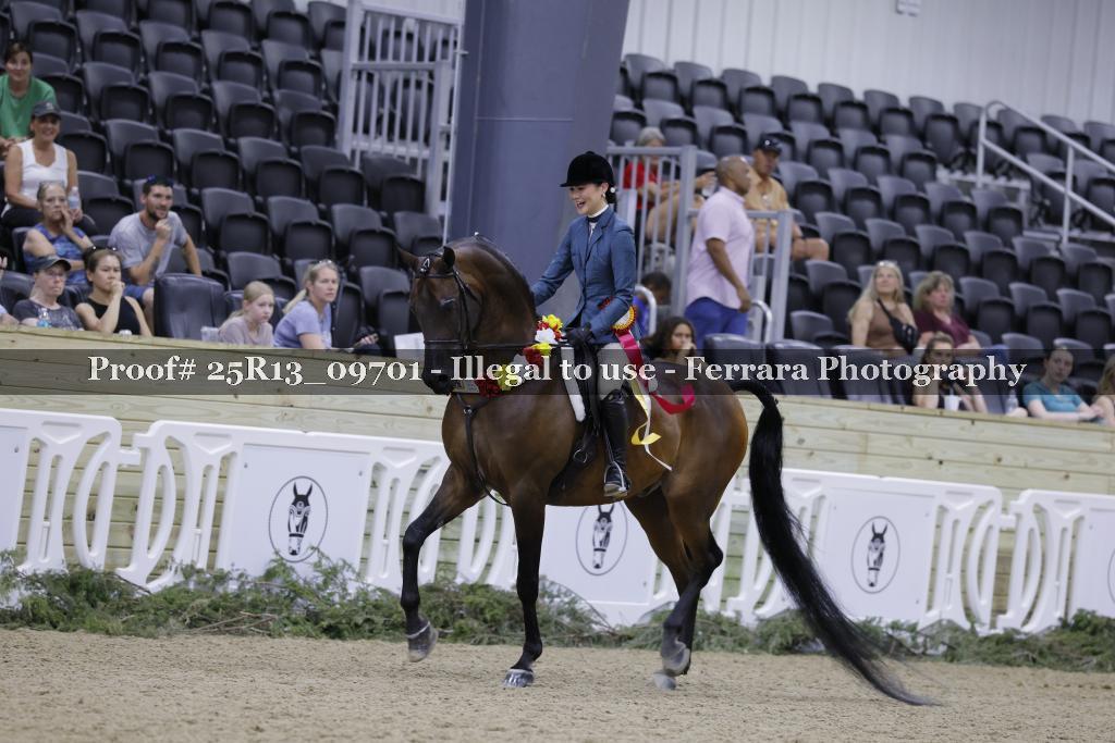 Proof Number 25R13_09701