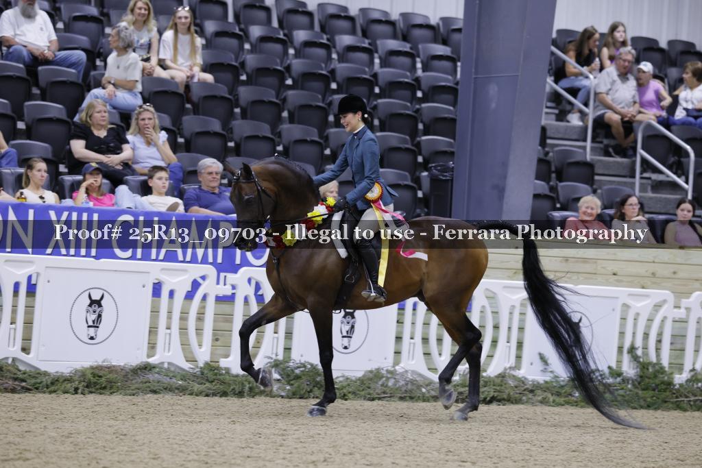 Proof Number 25R13_09703