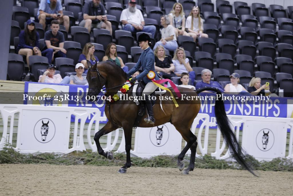 Proof Number 25R13_09704