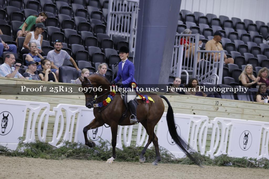 Proof Number 25R13_09706