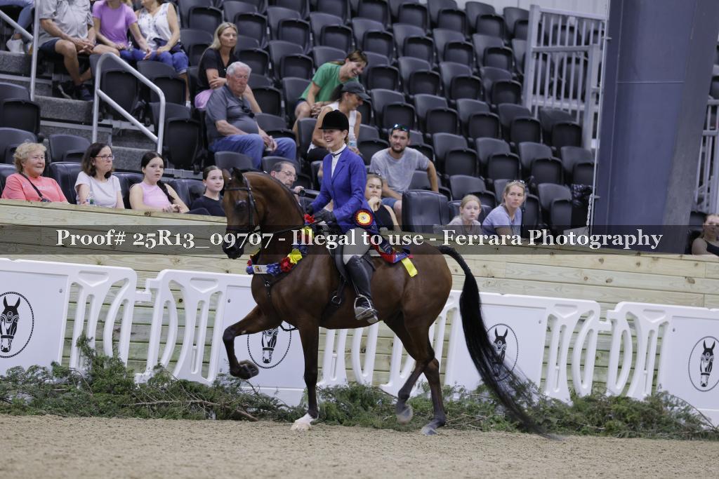 Proof Number 25R13_09707