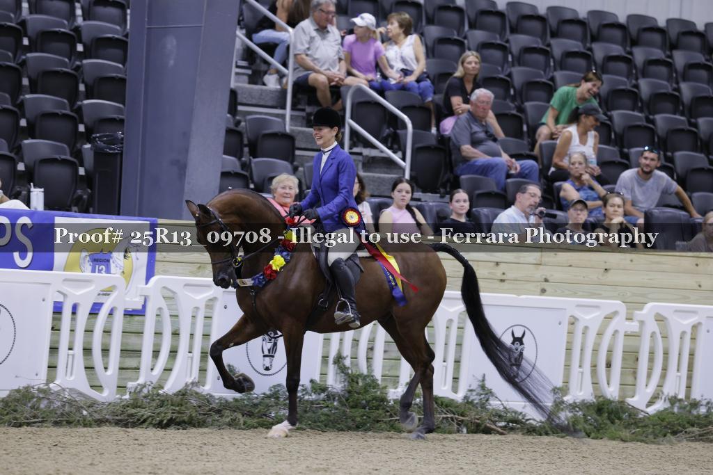 Proof Number 25R13_09708