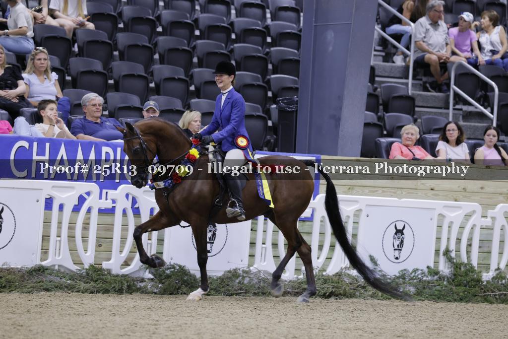 Proof Number 25R13_09709