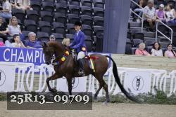 25R13_09709 thumbnail