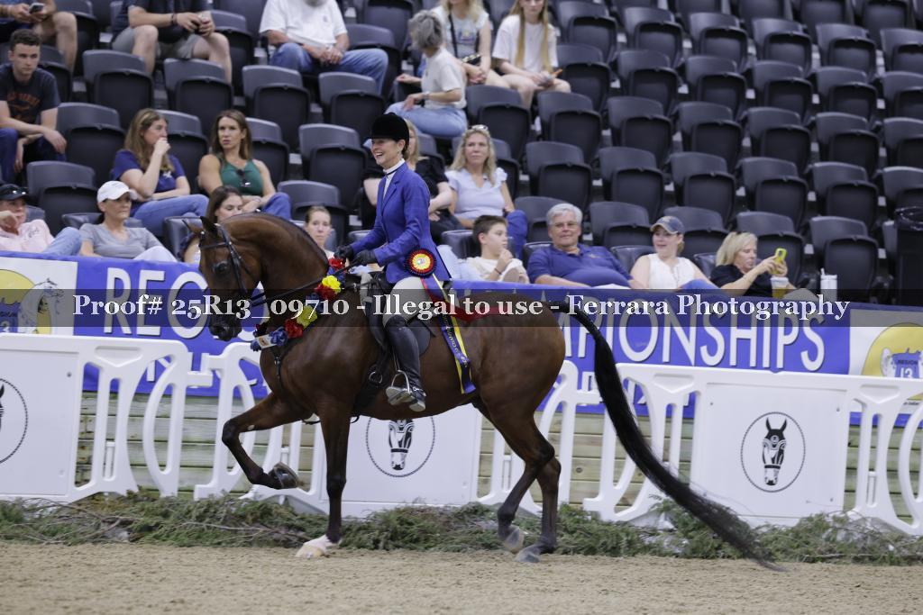 Proof Number 25R13_09710