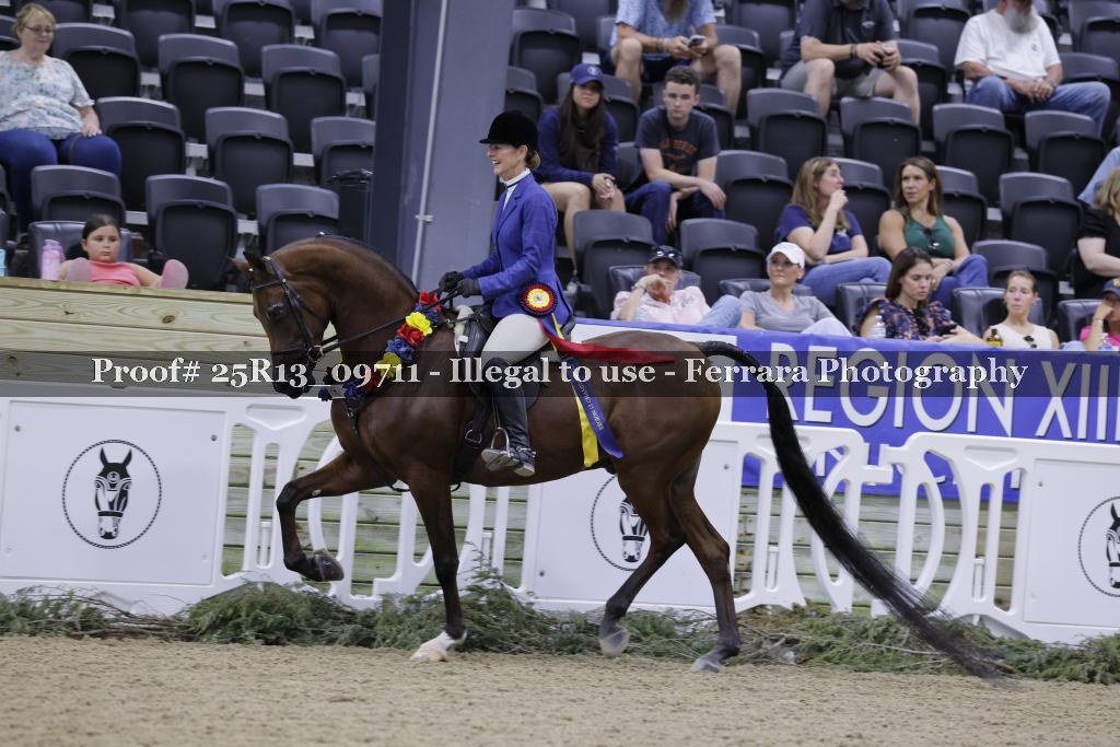 Proof Number 25R13_09711