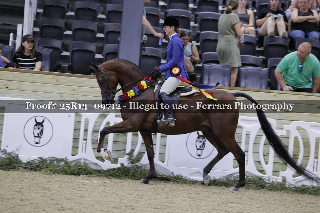 Proof Number 25R13_09712