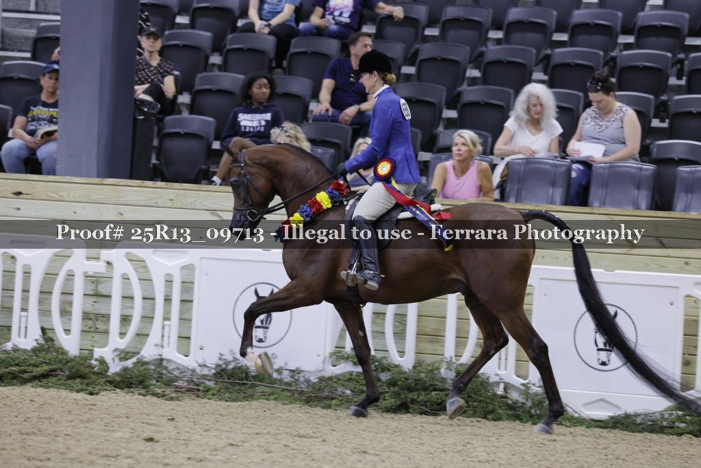 Proof Number 25R13_09713