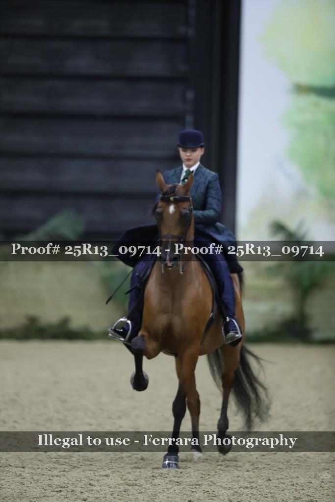 Proof Number 25R13_09714