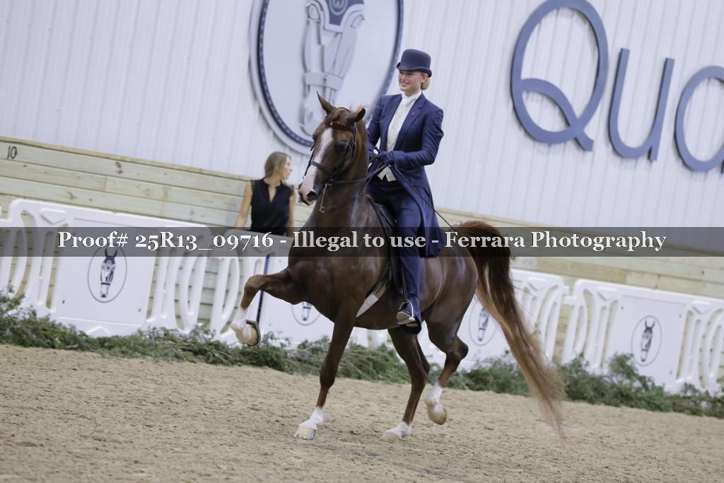 Proof Number 25R13_09716