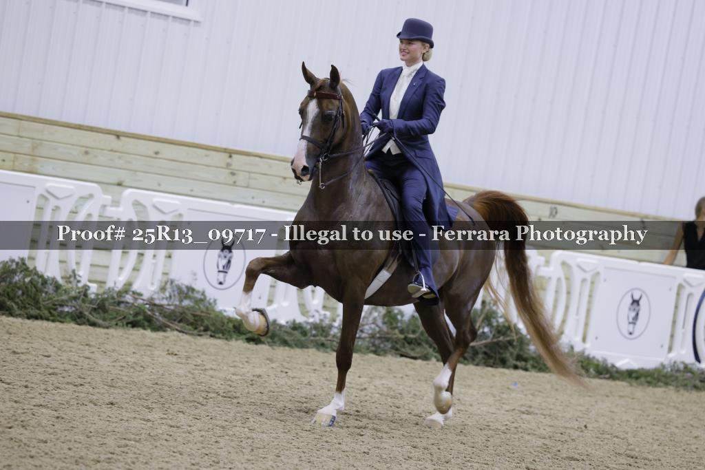 Proof Number 25R13_09717