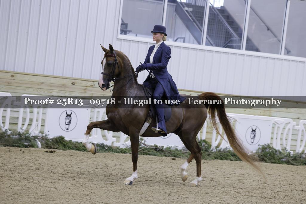 Proof Number 25R13_09718