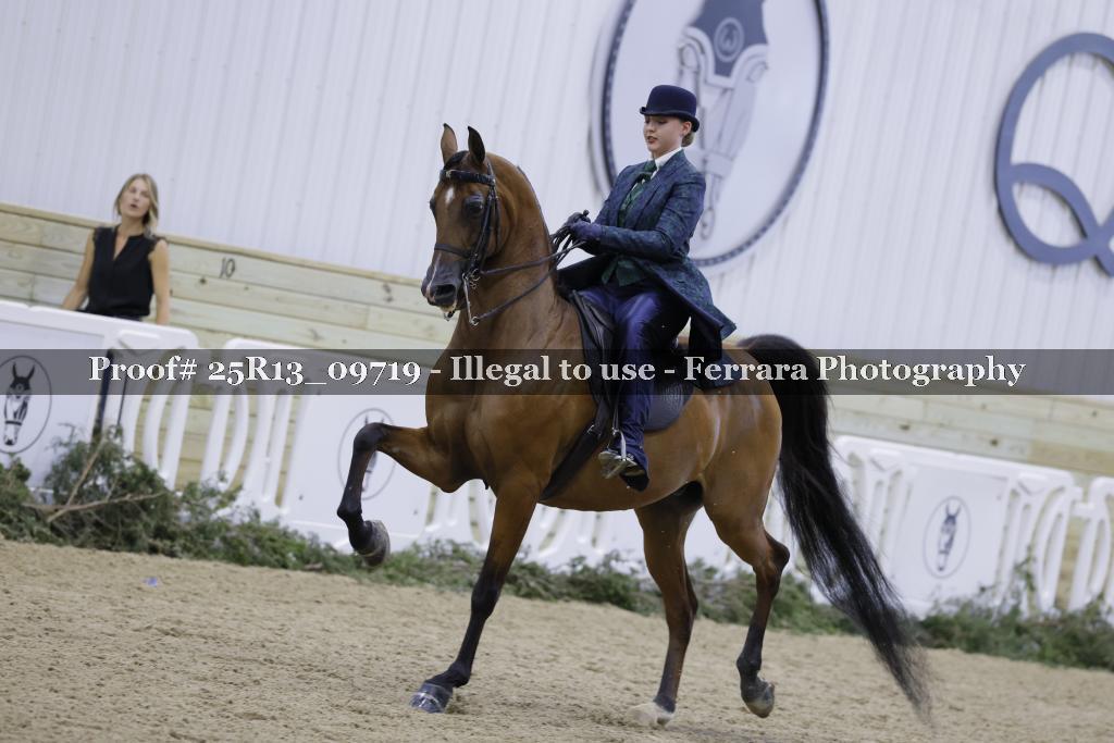 Proof Number 25R13_09719