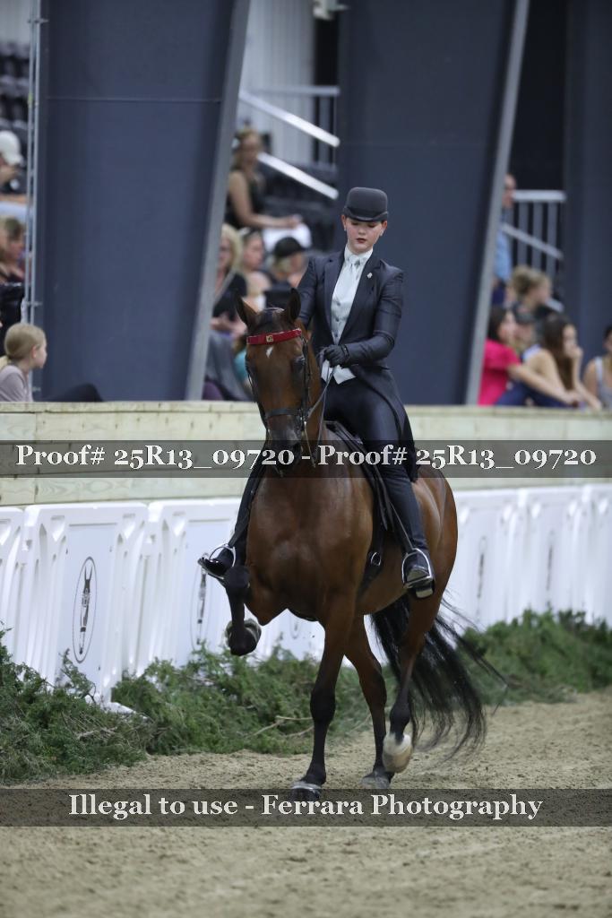 Proof Number 25R13_09720