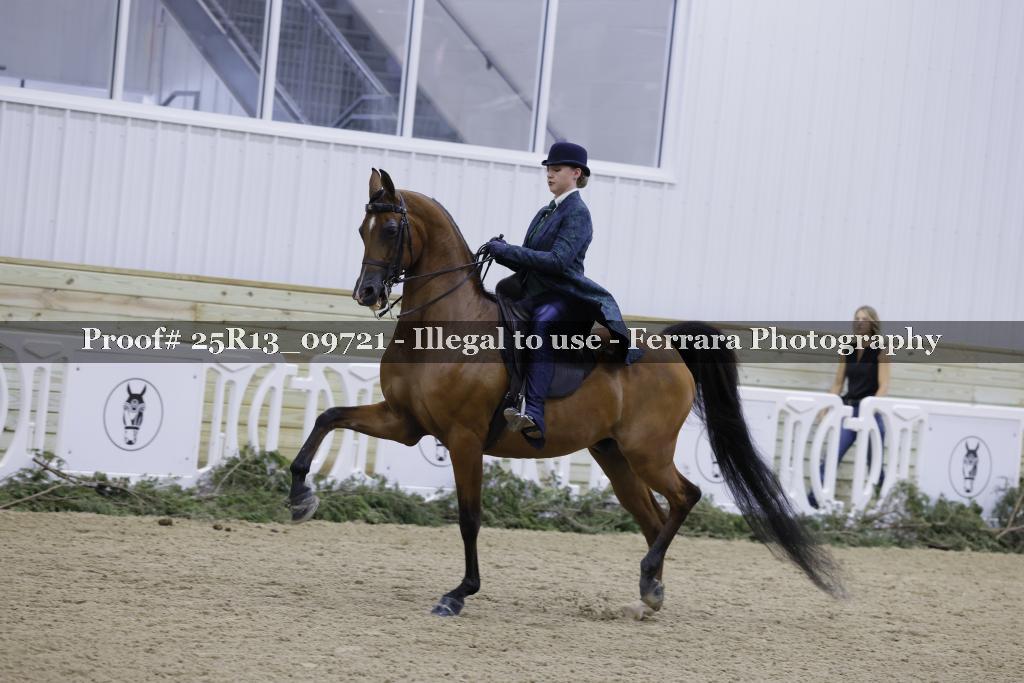 Proof Number 25R13_09721