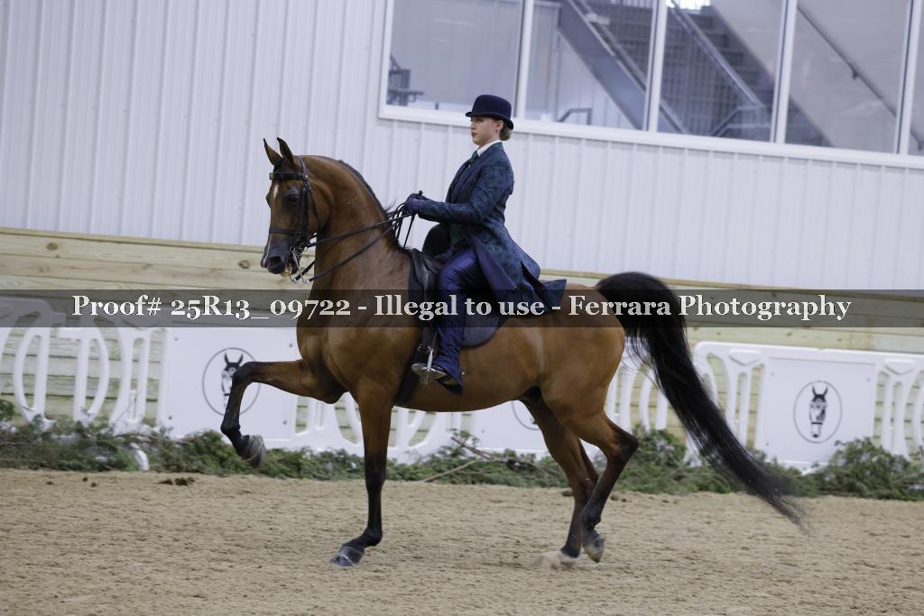 Proof Number 25R13_09722