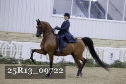 25R13_09722 thumbnail