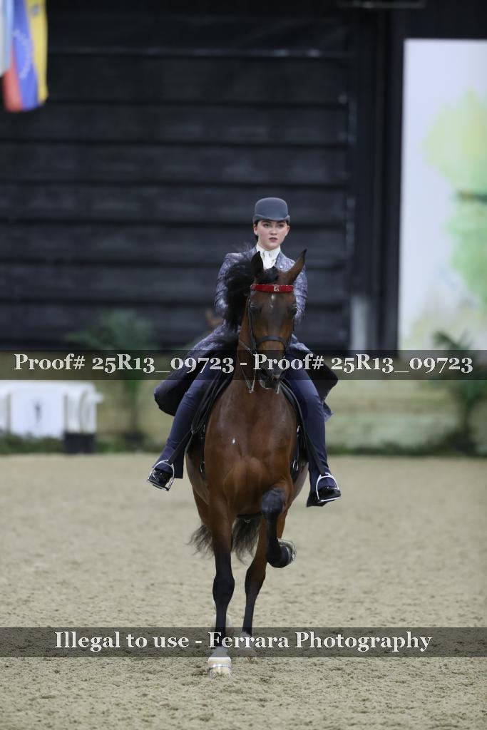 Proof Number 25R13_09723