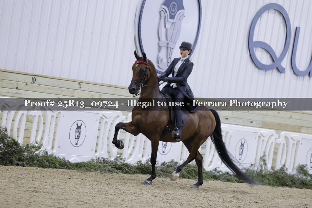 Proof Number 25R13_09724