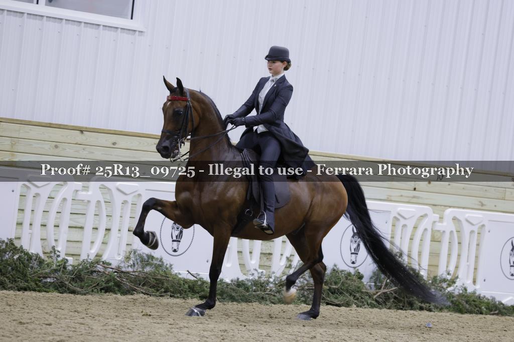 Proof Number 25R13_09725
