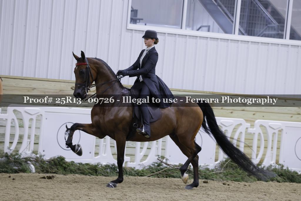 Proof Number 25R13_09726
