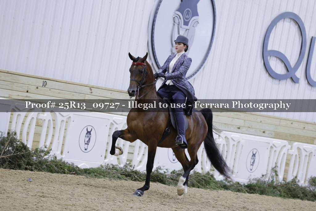 Proof Number 25R13_09727