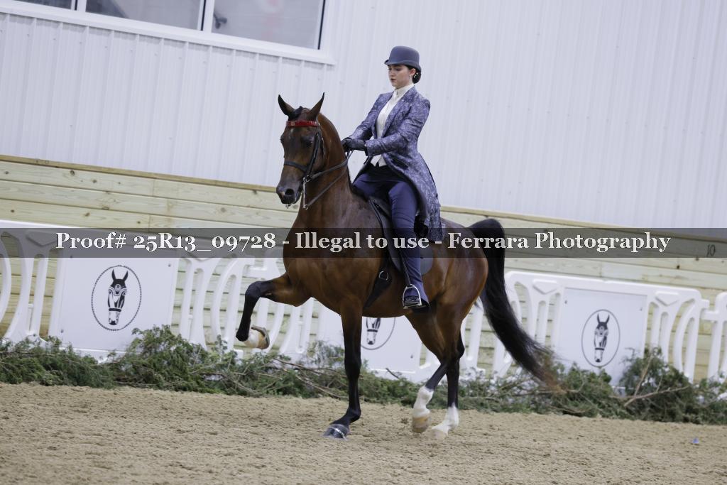 Proof Number 25R13_09728