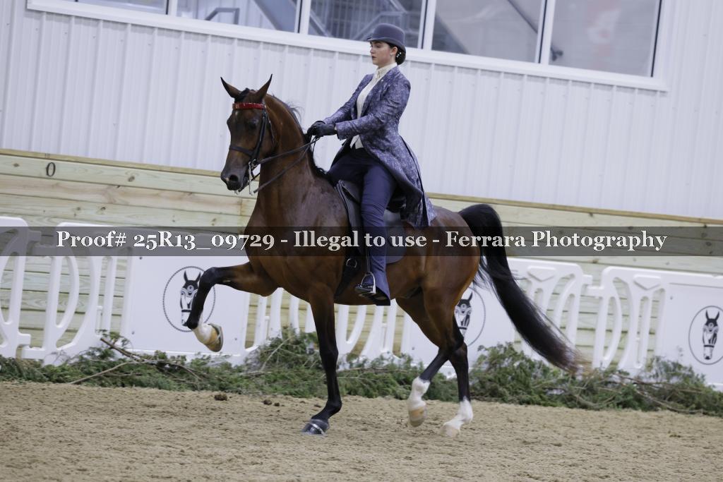 Proof Number 25R13_09729