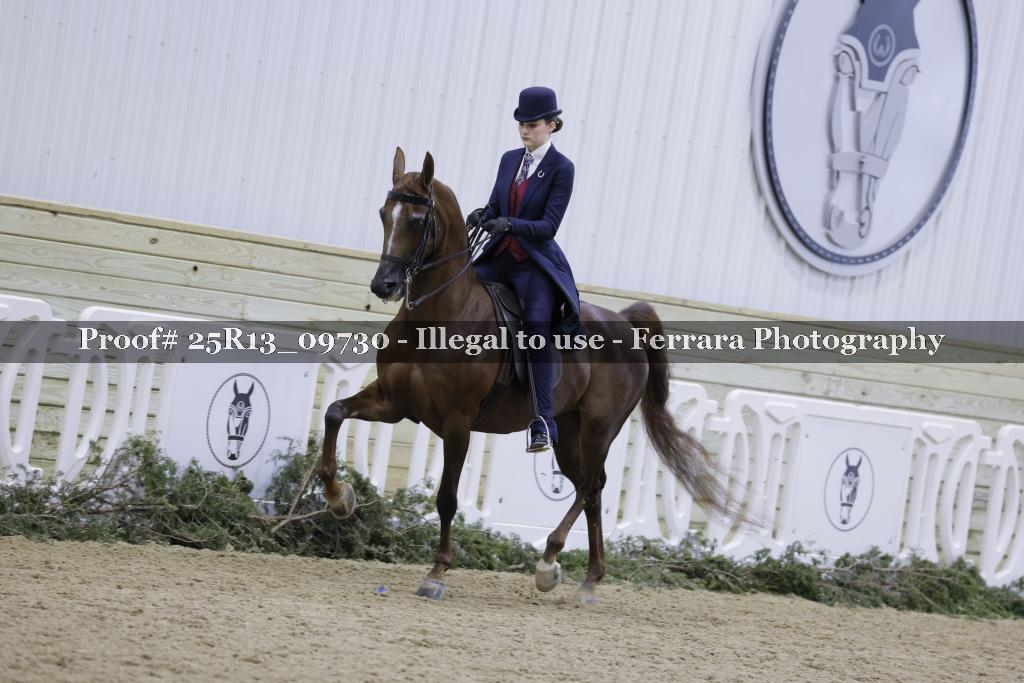 Proof Number 25R13_09730