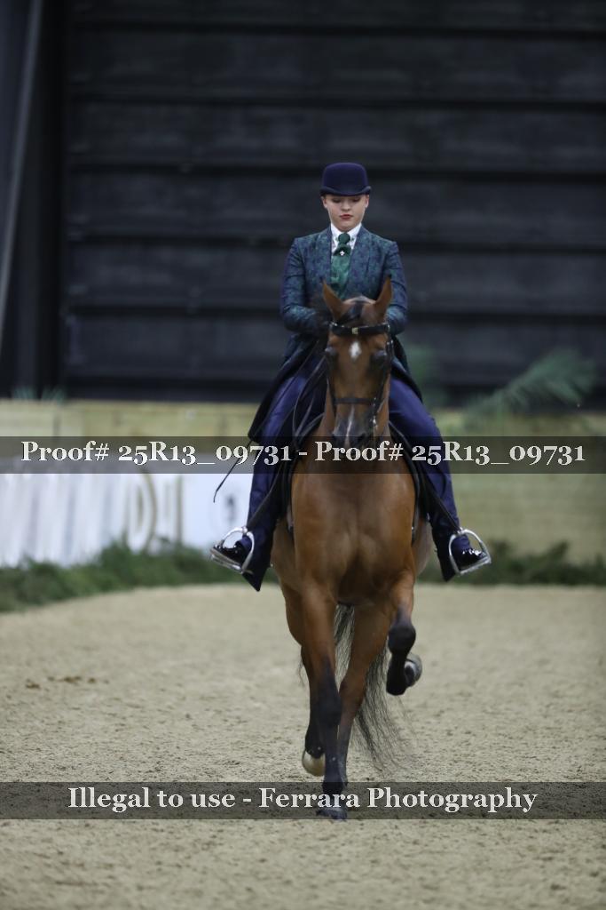 Proof Number 25R13_09731