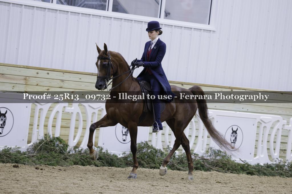 Proof Number 25R13_09732