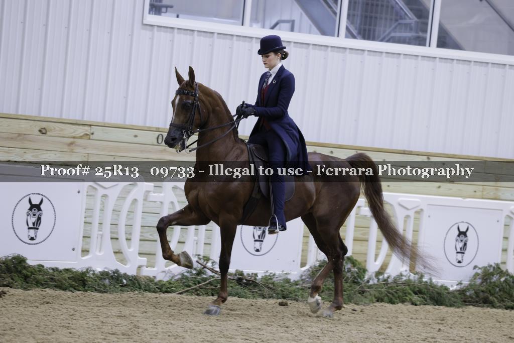 Proof Number 25R13_09733