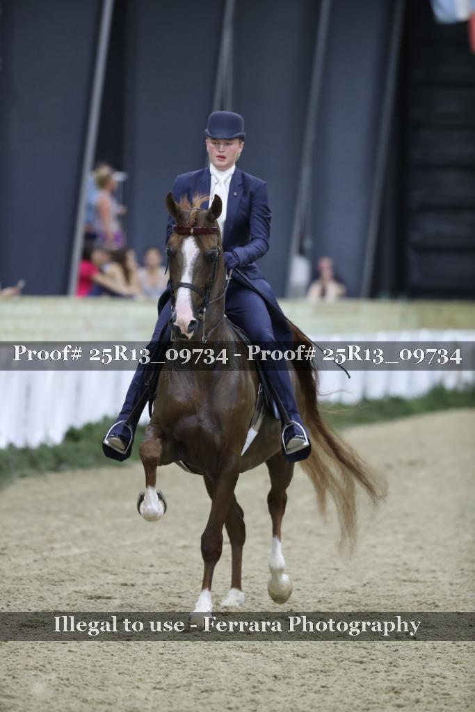 Proof Number 25R13_09734