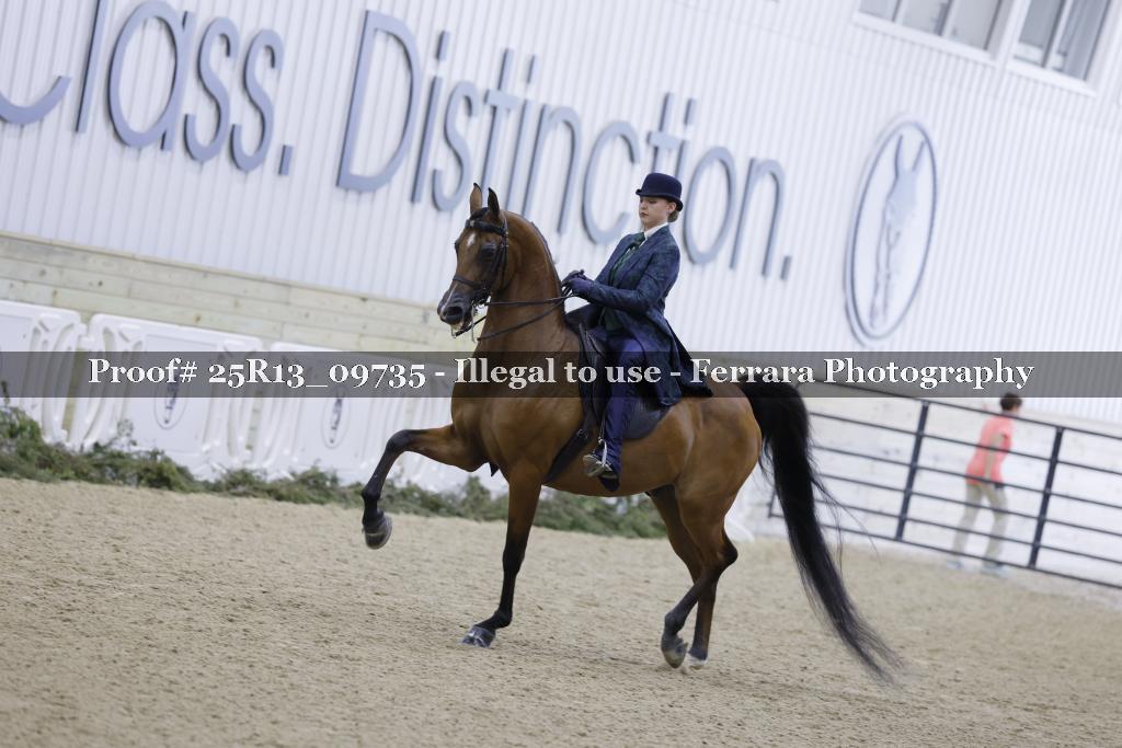 Proof Number 25R13_09735
