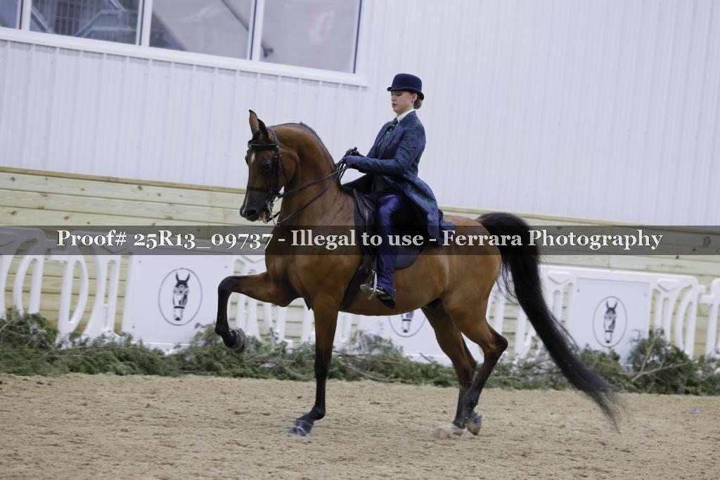 Proof Number 25R13_09737