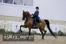 25R13_09737 thumbnail