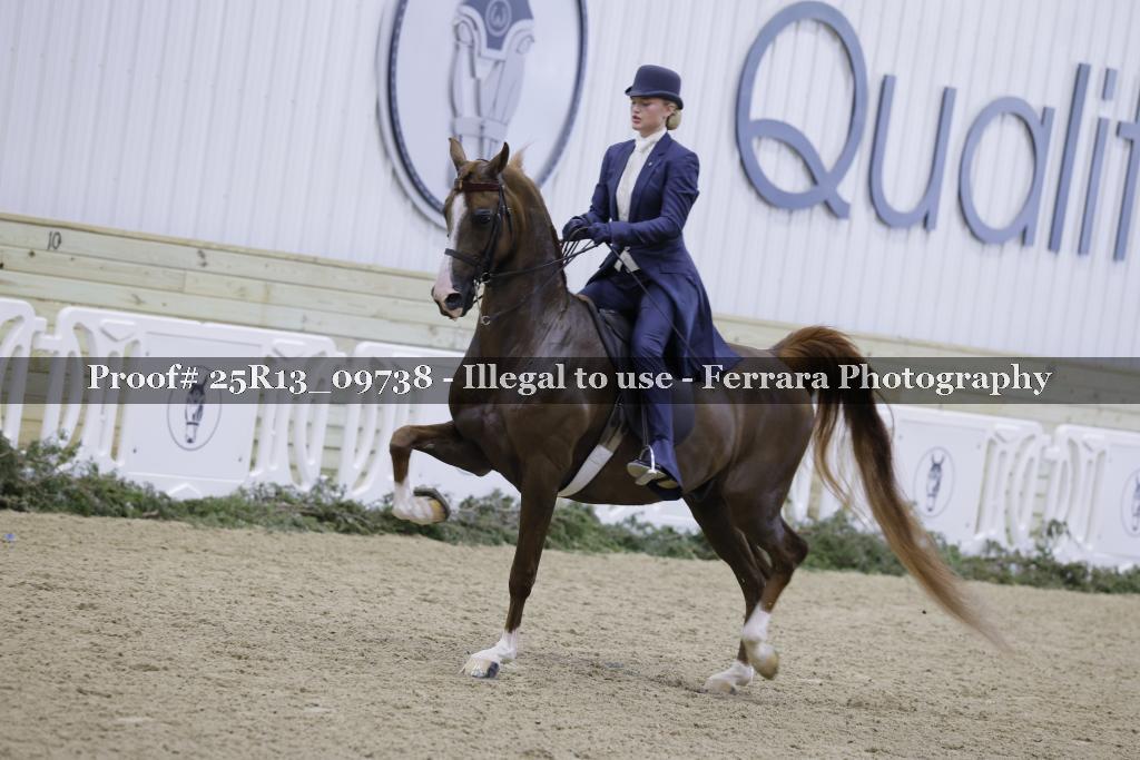 Proof Number 25R13_09738