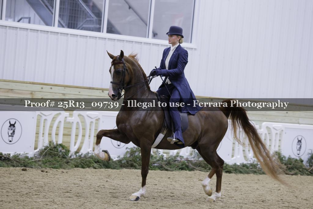 Proof Number 25R13_09739
