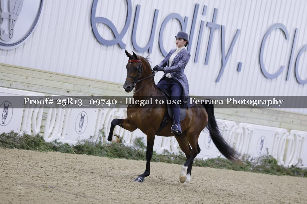Proof Number 25R13_09740
