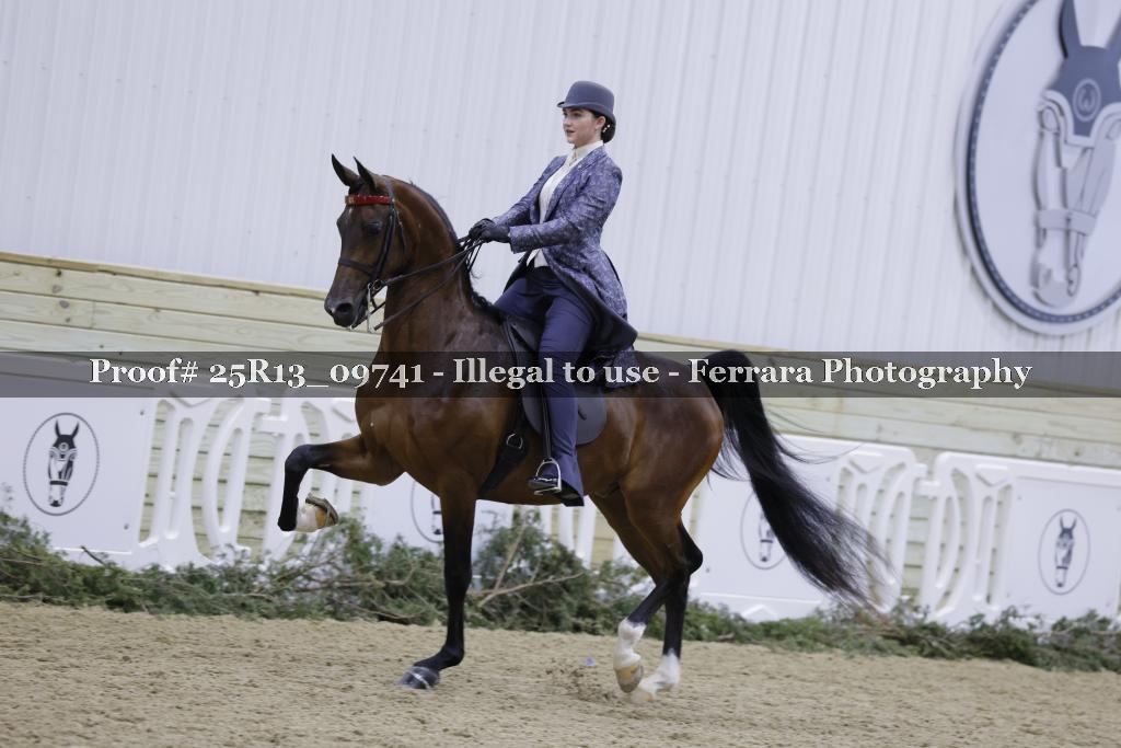 Proof Number 25R13_09741