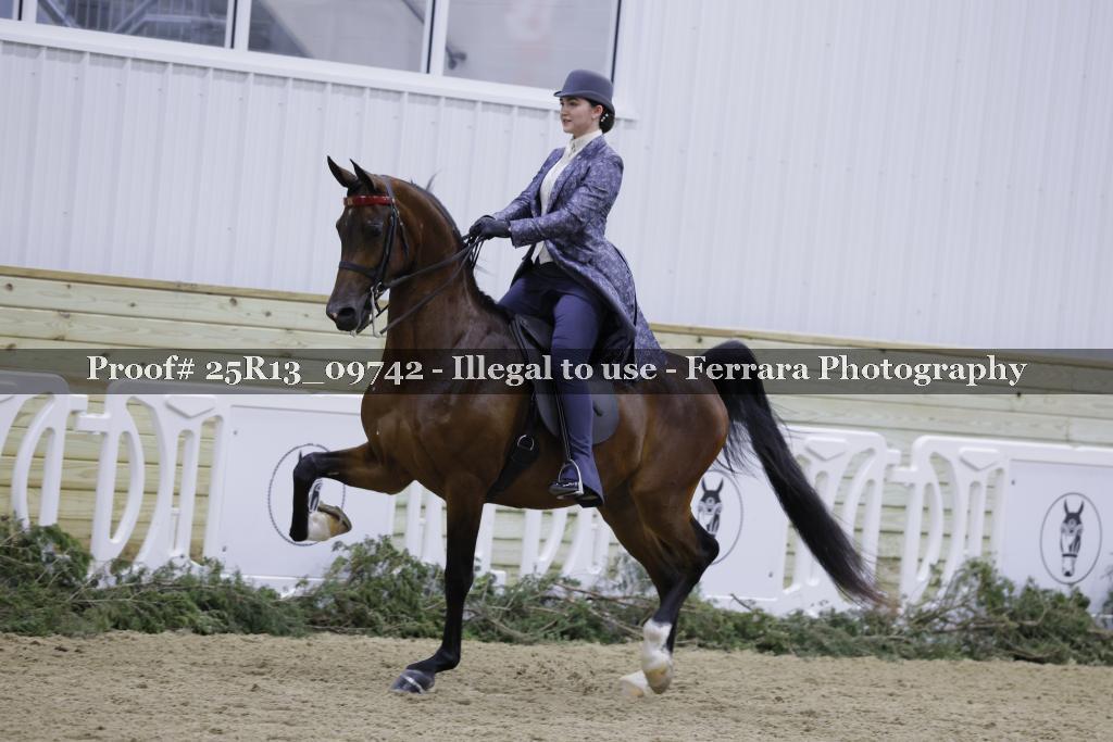 Proof Number 25R13_09742