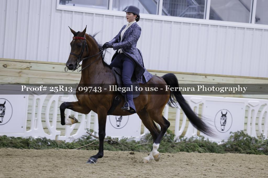 Proof Number 25R13_09743