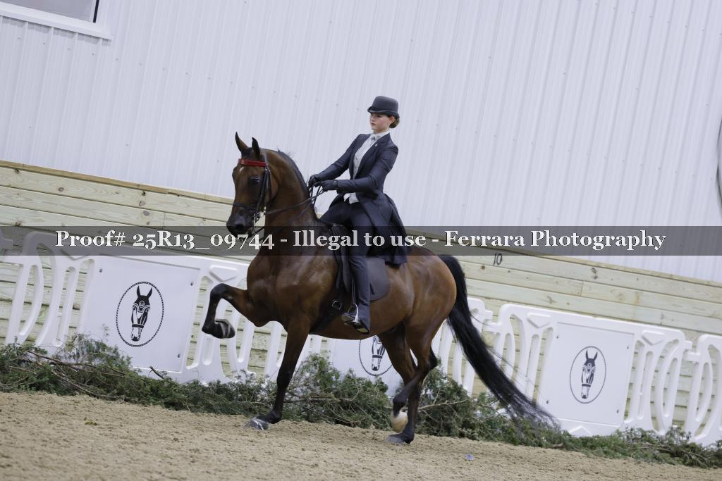 Proof Number 25R13_09744