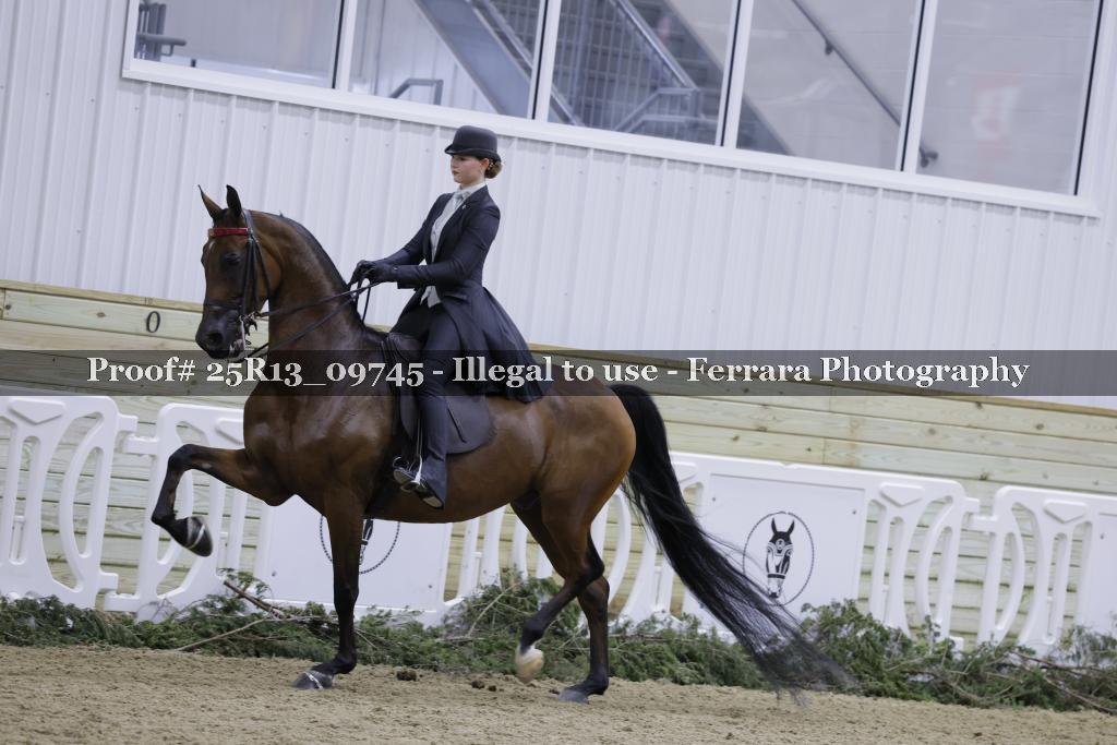 Proof Number 25R13_09745