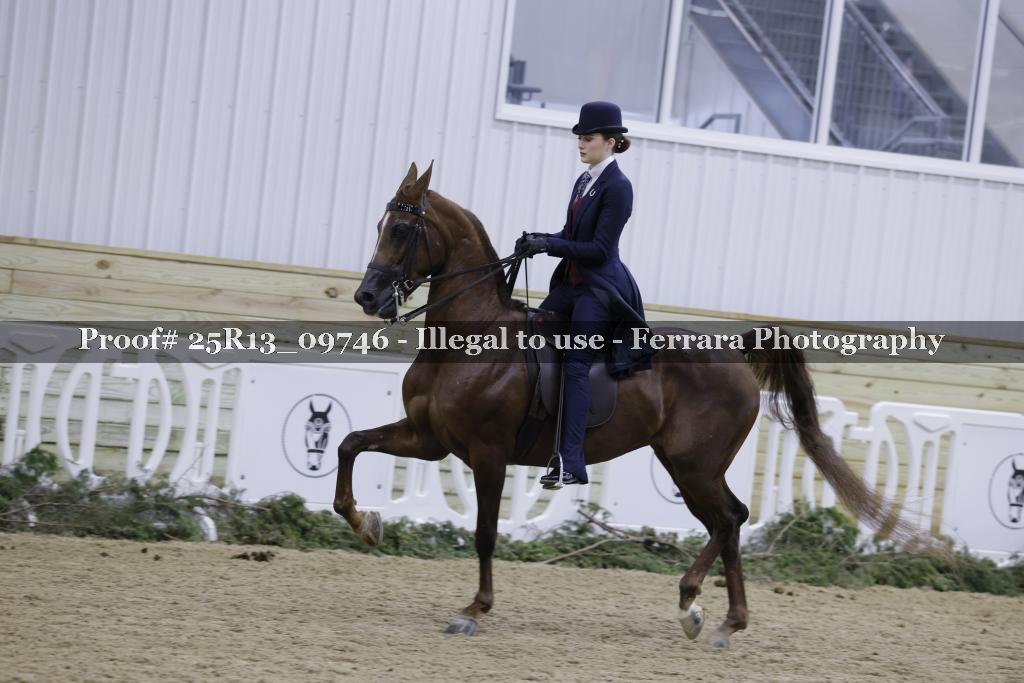 Proof Number 25R13_09746