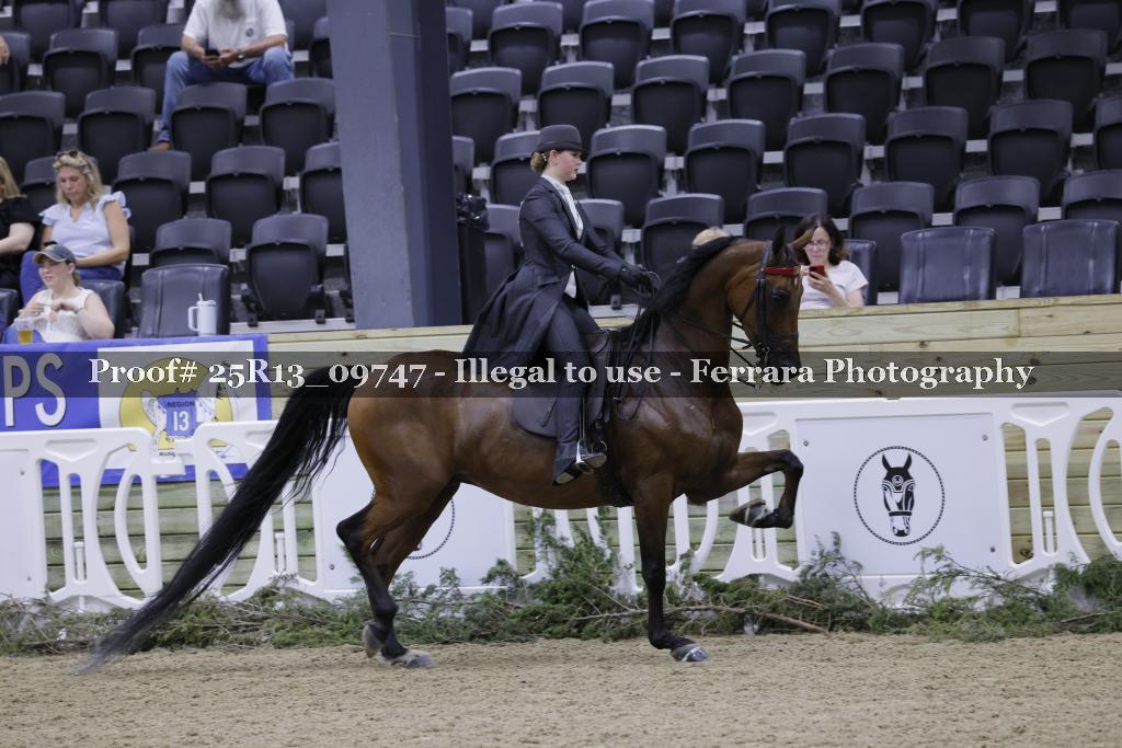 Proof Number 25R13_09747