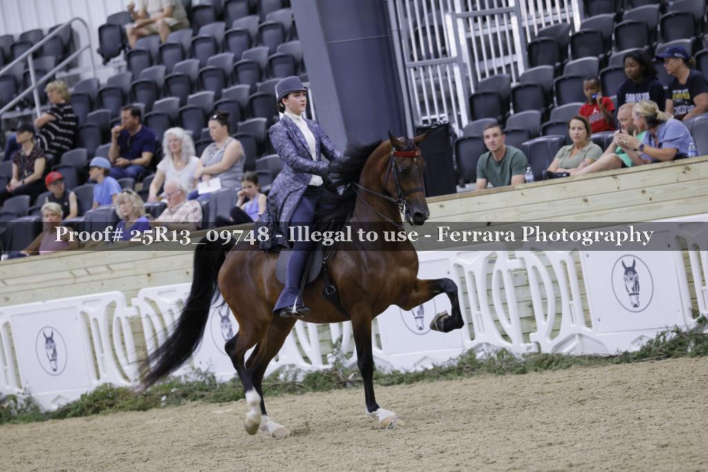 Proof Number 25R13_09748