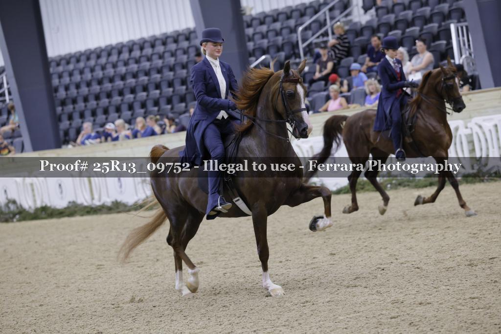 Proof Number 25R13_09752