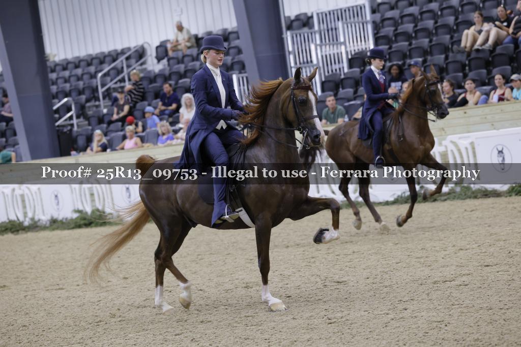 Proof Number 25R13_09753